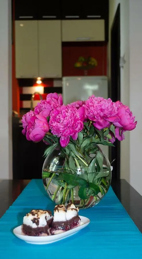 Apartament Sopot Kamienny Potok Apartment 0*,  Poland